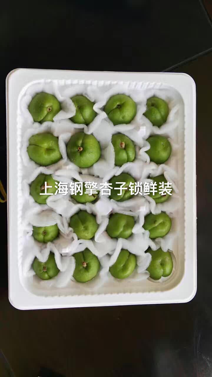 杏子保鲜包装.jpg